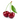 CEREZO 10L RESIDUO  CERO VERDECORA