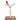ARBOL DE JAVA PARA LOROS